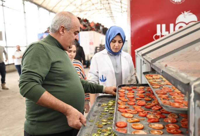 Aziziye’nin termal seralarında yeni dönem