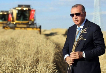 Erzurum'dan ülke tarımına kelebek etkisi