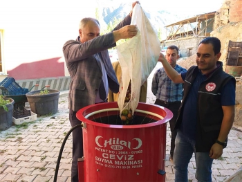 Erzurum kendi cevizini üretiyor