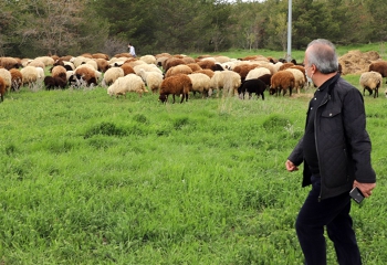 Gıda ve Hayvancılığa Bilimsel Yaklaşım