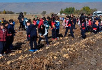 Oral, miniklerle patates hasadına katıldı